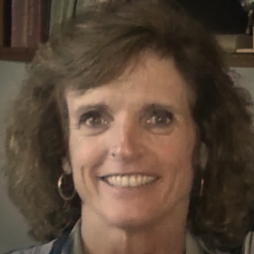 Ann E. Drouilhet
