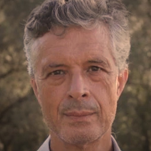 António Pedro Martins