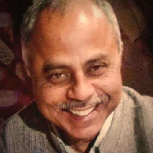 Deepankar Roy