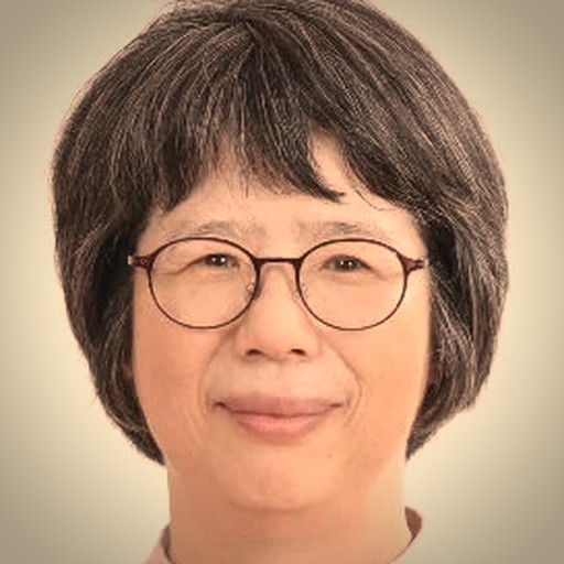 Hyoseon Kim 김효선