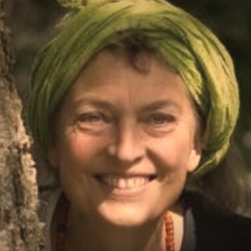 Iris Schmidt Koopmann